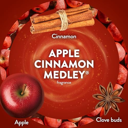 Image of Air Wick Plug in Scented Oil Refill, 2ct, Apple Cinnamon Medley, Fall Scent, Essential Oils, Air Freshener