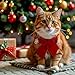 SilTriangle 4 Pcs Cat Collars with Stylish Bow Xmas Kitten Collar with Bell Removable Bowtie Christmas Collar for Cats(Black, Green, Red, Brown)