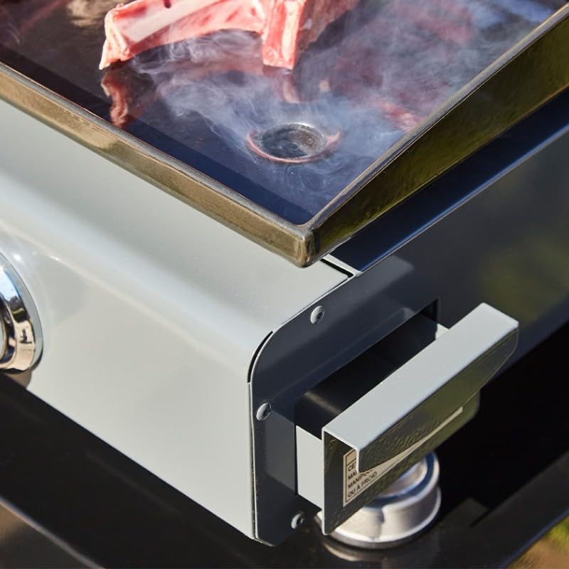 BRASERO - Plancha gaz Silvia II G 3 Feux Gun metal Brasero - Surface cuisson 67 x 34 cm - 3 brûleurs - Plaque fonte - Grille de réchauffement - Tiroir graisse - Jusqu'à 10 convives - 7,5 kW