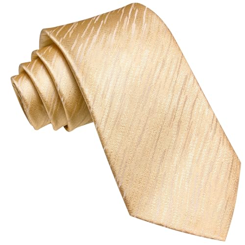 Image of Barry.Wang Silk Men Ties Formal Stripes Necktie and Tie Clip for Wedding Party Business Fashion Classic