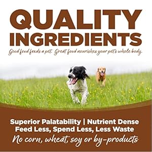 NutriSource-Adult-Dry-Dog-Food-for-Large-Breeds-Lamb-Meal-and-Rice-26LB - Cucciolini Doodles   NutriSource-Adult-Dry-Dog-Food-for-Large-Breeds-Lamb-Meal-and-Rice-26LB