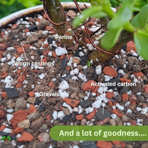 Image of Bonsai Potting Mix (5kg) Essential Organic Premium Soil for BonsaiMix | Curated by Bonsai Artists | Ready to use Plants Loose, Well-Drained, Porous Holds Optimum Moisture (5 kg)