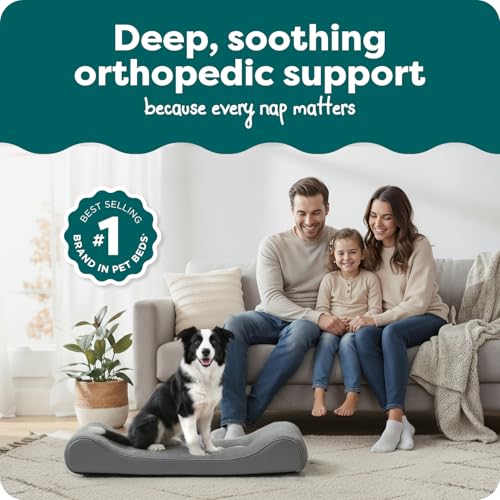 Image of FurHaven Orthopedic Dog Bed for Large Dogs, Luxe Lounger Contour Mattress with Solid Orthopedic Foam Slab for Joint Support, Removable Washable Cover, Large, Plush Suede, Gray
