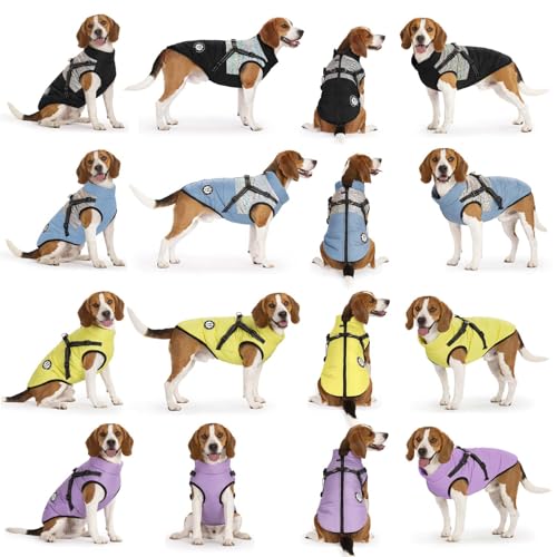 LUOWAN Hundemantel für kleine Hunde, Hundemantel mit Geschirr, Reflektierende Outdoor-Hundeweste, Winter Hundejacke für Katzen, Welpen, kleine, mittlere Hunde