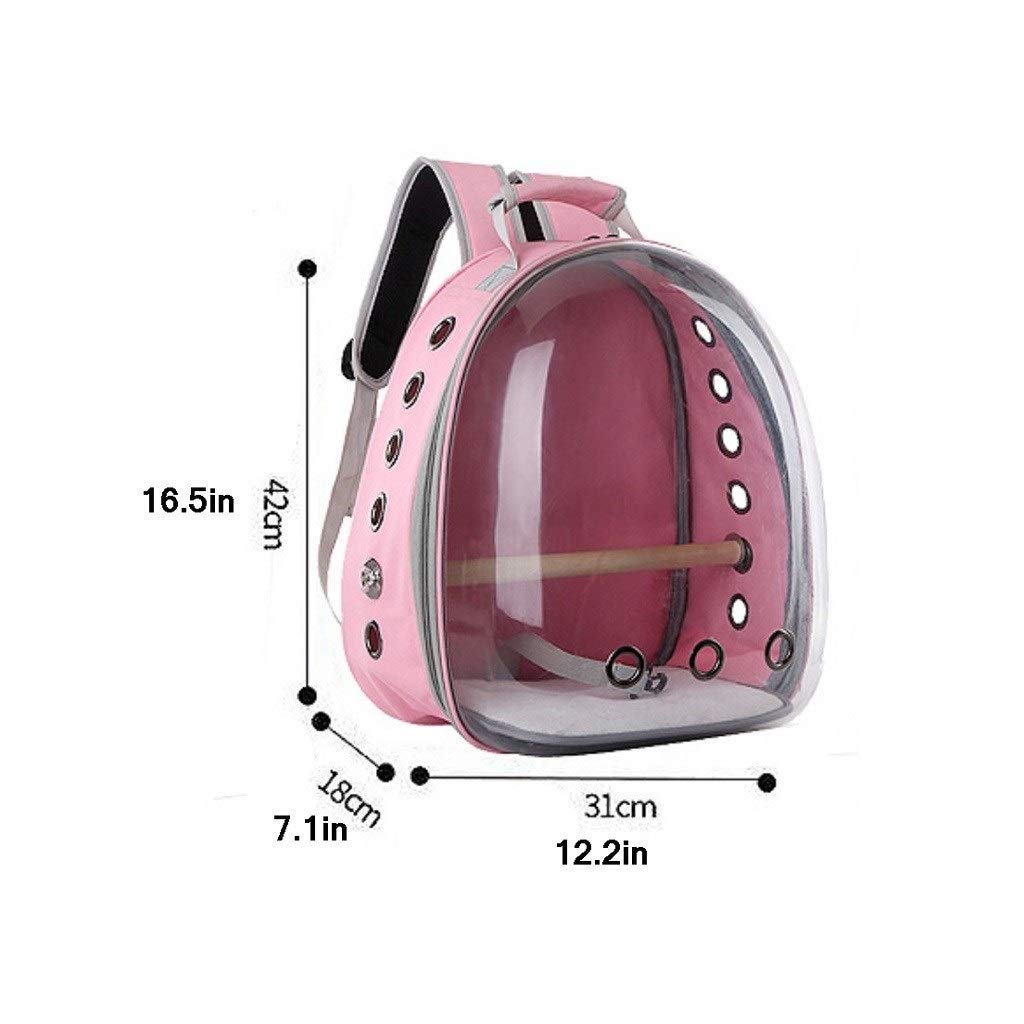 Voliera Uccelli Pet Carrier Backpack, Gatto Cane Uccello Spalla Zaino Carrier, Innovativo panoramica Spazio Trasparente Portable Pet Capsule Pet's Solution Gabbia (Color : B)