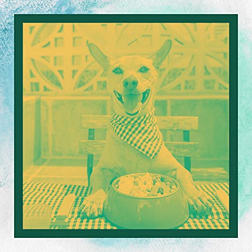 犬のリラックス音楽 事業