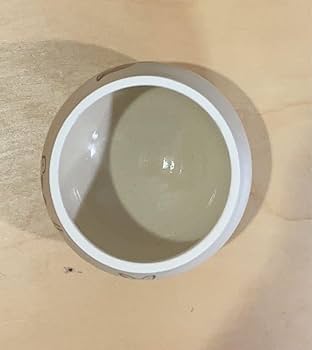 日野沙織さん　蓋物　鳥・リス・ウサギ Amazon.co.jp: 日野沙織 個展 うさぎ リス 小鳥 蓋物 お茶碗