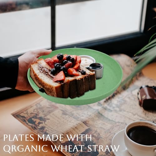 Image of Homienly Dessert & Salad Set - Unbreakable Wheat Straw Plates, 8-10 inch, Reusable (Green Series)