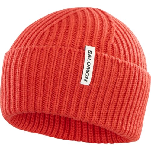 SALOMON(サロモン) サロモン(SALOMON) スキー スノーボード ニット帽 SNOWBIRD BEANIE U (スノーバード ビーニー) ユニセックス