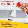 HIT Spray Crawling Insect Killer