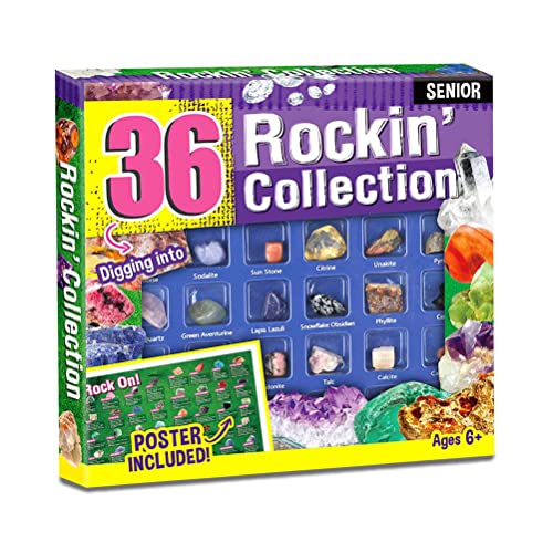 24/36/48 Rocks Collection Gemstone Collection 15 Big Rock Gem Mineral Kit for Kids Education Gift for Birthday Party & Classroom, Collection Box & Stone Educational Sheet Incldued Cover