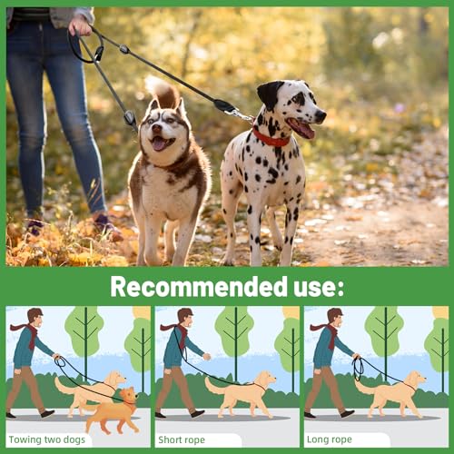 CROSHER Hundeleine 3m, Verstellbare Doppelleine für Ggroße und Mittelgroße Hunde mit 2 Karabiner Hochwertige Premium robust Leine Hund (3M)