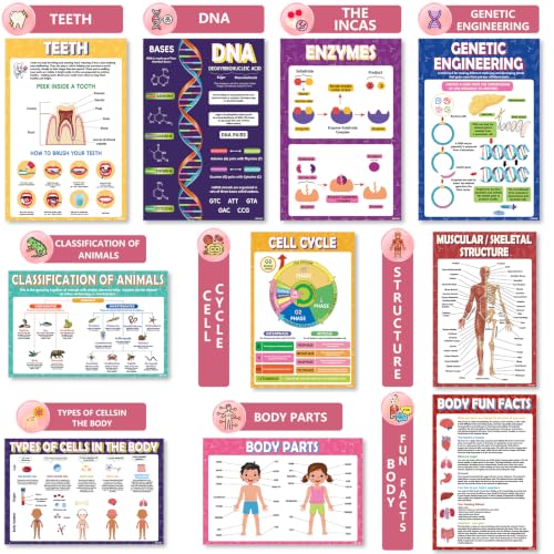 Image of KIDS KING 18 Learning Posters - Biology (11 inchx17 inch)