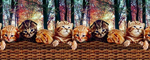 Alfombras Cocina Lavables Gatos Marca HomeLife