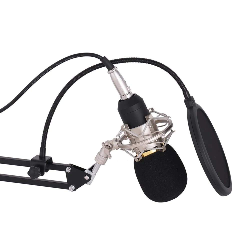 Amazon | プロフェッショナルスタジオ放送録音コンデンサーマイク