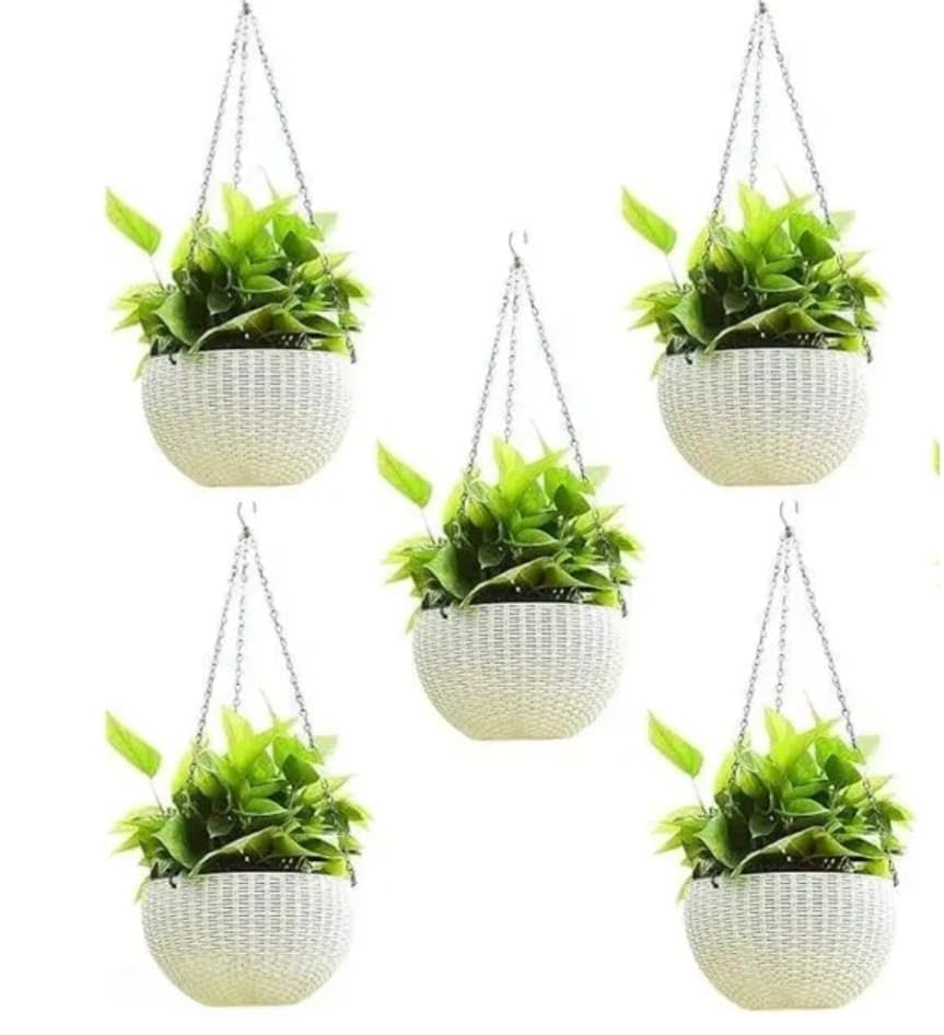 Plastic Hanging Pots for Railing Pack of 5 (7 Inch) White URO Planters | Large Balcony Flower Pots with Strong Hook Design for Home Garden, Indoor & Outdoor Decoration.-image-39