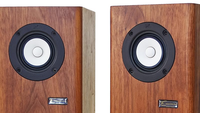 Amazon.co.jp: MarkAudio NC5H_SS(Single Suspension) ブックシェルフ