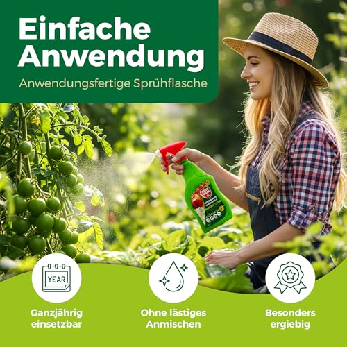 PROTECT GARDEN Lizetan Plus Schädlingsfrei AF, Blattlausfrei, Blattläuse und Schädlinge bekämpfen an Zierpflanzen, Rosen, Obst und Gemüse, 500 ml Spray 5
