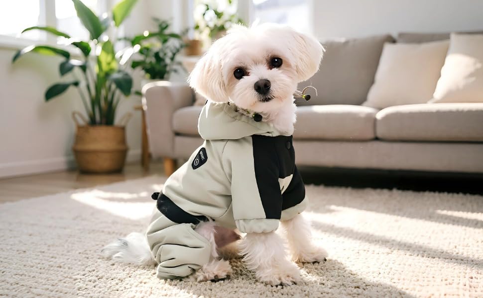 Manteau chaud pour chien avec capuche réglable imperméable