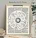 Zodiac Upcycled Dictionary Wall Art Print - Vintage 8x10 Unframed Photo - Great Gift for Steampunk and Astrology Lovers - Chic Home Decor