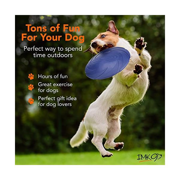 Heavy Duty Durable Frisby for Pets