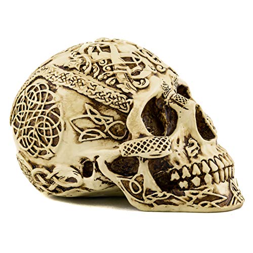 Top Collection Celtic Skull Sculpture- Hand Painted Gothic Magic Skull