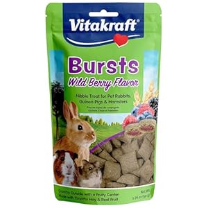 Vitakraft Bursts Small Animal Treats – Wild Berry Snacks – for Rabbits, Guinea Pigs, and Hamsters 1.76 Ounce (Pack of 1)