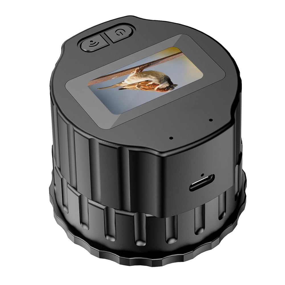 Ruitutedianzi V13 Eyepiece Camera with an illustration of a 256GB TF card, indicating its maximum storage support.