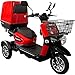 Rolektro E-Carrier 25 km/h Dreirad - 1000W Elektromobil - Elektromoped bis 70km - 3-Rad eMobil E-Moped EU-Zulassung