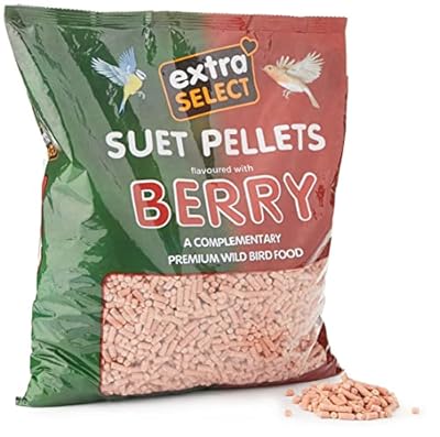 Extra Select High Energy Berry Suet Pellets Refill Wild Bird Treat, 3 kg