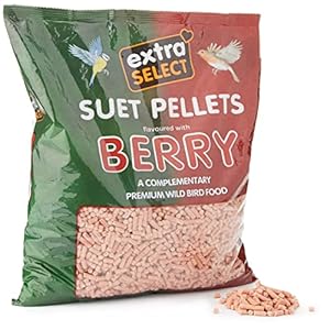 Extra Select High Energy Berry Suet Pellets Refill Wild Bird Treat, 3 kg