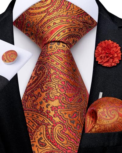 Image of DiBanGu Mens Zipper Tie Silk Pre-Tied Necktie with Gift Box