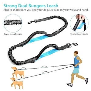 Hands-Free-Dog-Running-Leash-with-Adjustable-Waist-Belt-Dual-Handle-Elastic-Bungees-Retractable-Rope-for-Medium-and-Large-Dogs-Reflective-Stitches-for-Walking-Hiking-Biking - Cucciolini Doodles   Hands-Free-Dog-Running-Leash-with-Adjustable-Waist-Belt-Dual-Handle-Elastic-Bungees-Retractable-Rope-for-Medium-and-Large-Dogs-Reflective-Stitches-for-Walking-Hiking-Biking