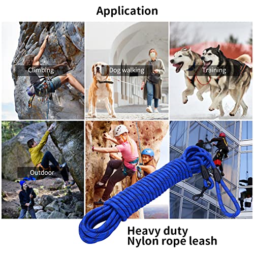 Image of Long Dog Leash for Training 50Ft-Reflective Nylon Rope with Swivel Hook-Recall Agility Lead for Large Small Medium Dogs Outside Walking Hiking-Royal Blue Diam 1 /2 inch