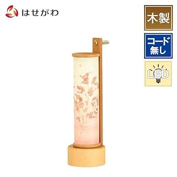 ゴ*ン様 ✳︎お盆企画✳︎豪華３1枚セット✳︎説明欄を要チェック✳︎ジャパレゲ 51Kssa3RWeL._UF350,350_QL80_.jpg