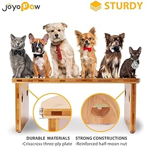 Elevated Dog Bowls Bamboo Raised Dog Bowl for Medium Dogs with 2 Stainless Steel Bowls 7 Tall30 Oz Bowl  Cucciolini Doodles Elevated dog bowls bamboo raised dog bowl for medium dogs with 2 stainless steel bowls 7 tall 30 oz bowl   cucciolini doodles