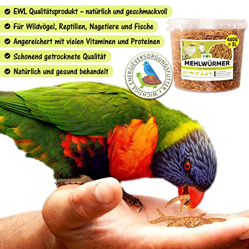 Mehlwürmer getrocknet 3 ltr. Premium Insektensnack Vögel, Fische, Schildkröten, Nager, Igel, Reptilien, Vogelfutter… – Bild 3