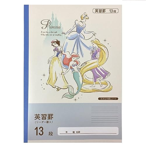 JCY(CAINZ) fBYj[vZX wK pKr 13i 30 [_[r p NCDP-E13 LN^[ Ԃm[g wZ wK K