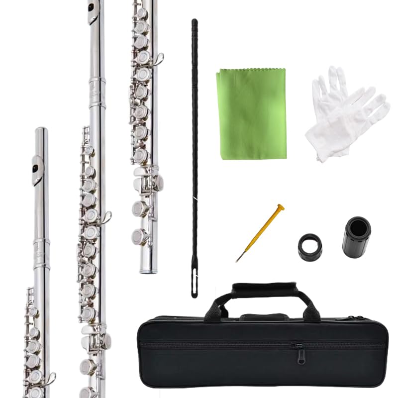 HOGSN flute 16-hole closed-hole C-tone nickel-plated, beginner to play graded flute, with box and cleaning kit.