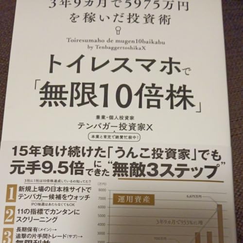 gCX}zŁu10{v 3N95975~҂p eoK[X/