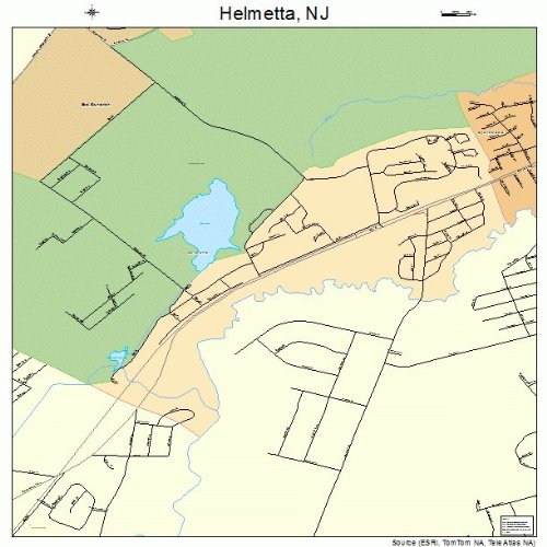 Large Street & Road Map of Helmetta, New Jersey NJ Printed poster