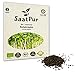 Produktbild BIO Keimsprossen von SaatPur - Keimsaat für Salatrauke Rauke Sprossen, Microgreens - 75g