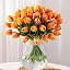 Orange-20
