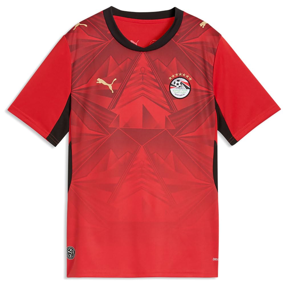 PUMA Bambino EFA Egypt Home Jersey Replica Jr 26