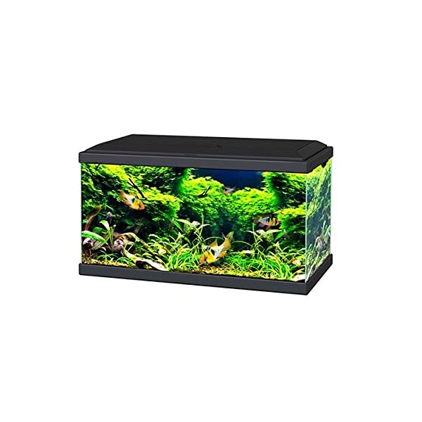 Aquarium Fish Tank with Stand/Filter/LED Lighting 60cm 2ft 58L (Black) - Image 3