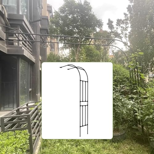 Tonnelle de jardin en métal fer forgé arche décorative durable - 2