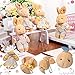 Skylety 12 Pcs Mini Easter Bunny Stuffed Animal Bulk Adopt a Bunny Party Favor Small Couple Rabbit Plushie Burlap Floral Decor Cute Soft Rabbit Plush for Easter Basket Party Favor, 4 Inch(Vivid Style)