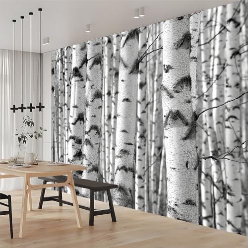 Papier Peint Bouleau Grand Format Intissé pour Murs Imparfaits - 3