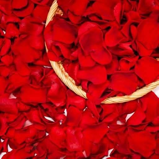 Petalos de Rosa Naturales Regalos San Valentin,Pétalos de Rosas Propuestas de Matrimonio y Compromiso,Flores Regalo Mujer Pareja Novia,Rosa Eterna Decoración para Aniversario y Boda Navidad Cumpleaños | Ya disponible en tu tienda friki favorita! En mundofriki.es!