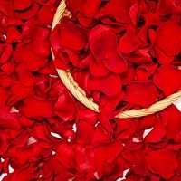 Petalos de Rosa Naturales Regalos San Valentin,Pétalos de Rosas